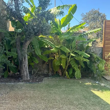 Toscana Yalikavak Sonsuz Havuz Lueks Villada Tatil Villa *