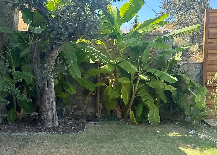 Toscana Yalikavak Sonsuz Havuz Lueks Villada Tatil فيلة *